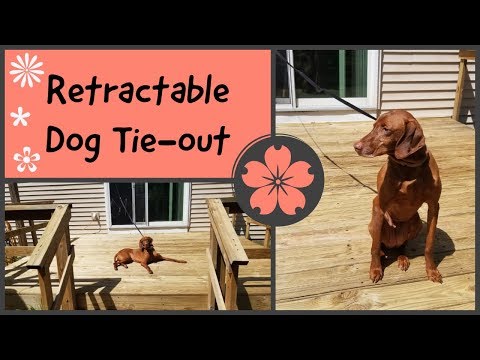 everpet dog trolley system