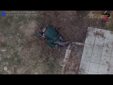Alligator Visit in Central Florida Home | Florida Police Remove Alligator From Front Porch