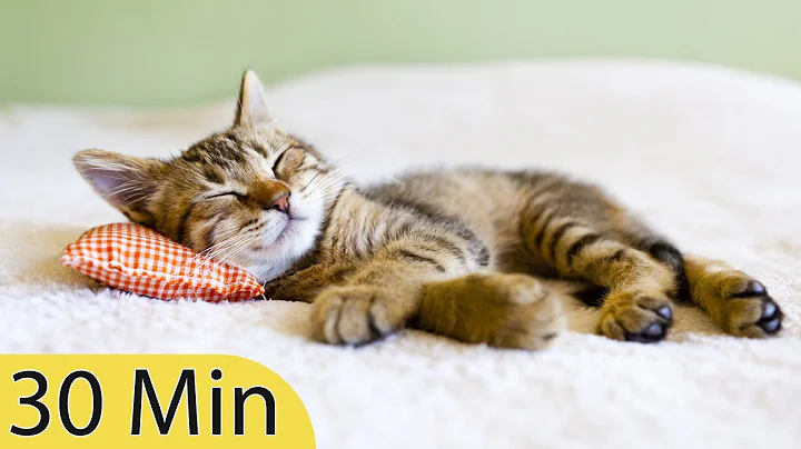 30 Minute Relaxing Sleep Music, Sleep Meditation, Calm Music, Insomnia, Relax, Study, Sleep, ☯2479B