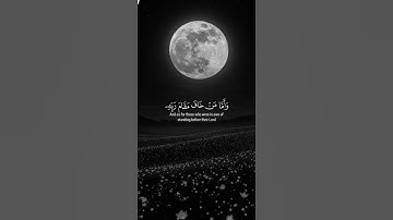 اكتب شيء تؤجر عليه 😴🩶 قران كريم | إسلام صبحي