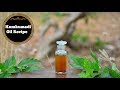 How To Make & Use Kumkumadi Oil For Face At Home | Kumkumadi Tailam Recipe