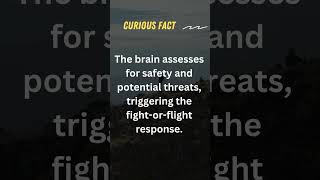 Minds Boost Facts So Strange || Cognitive Tides