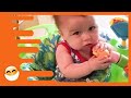 Lustigste Spielzeuge für Babys - Baby Reaktionsvideos
