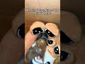 Water Is Life ЁЯзШтАНтЩАя ПЁЯТз Water Plushies Plushtoys Water Is Life ЁЯзШтАНтЩАя ПЁЯТз Water Plushies Plushtoys