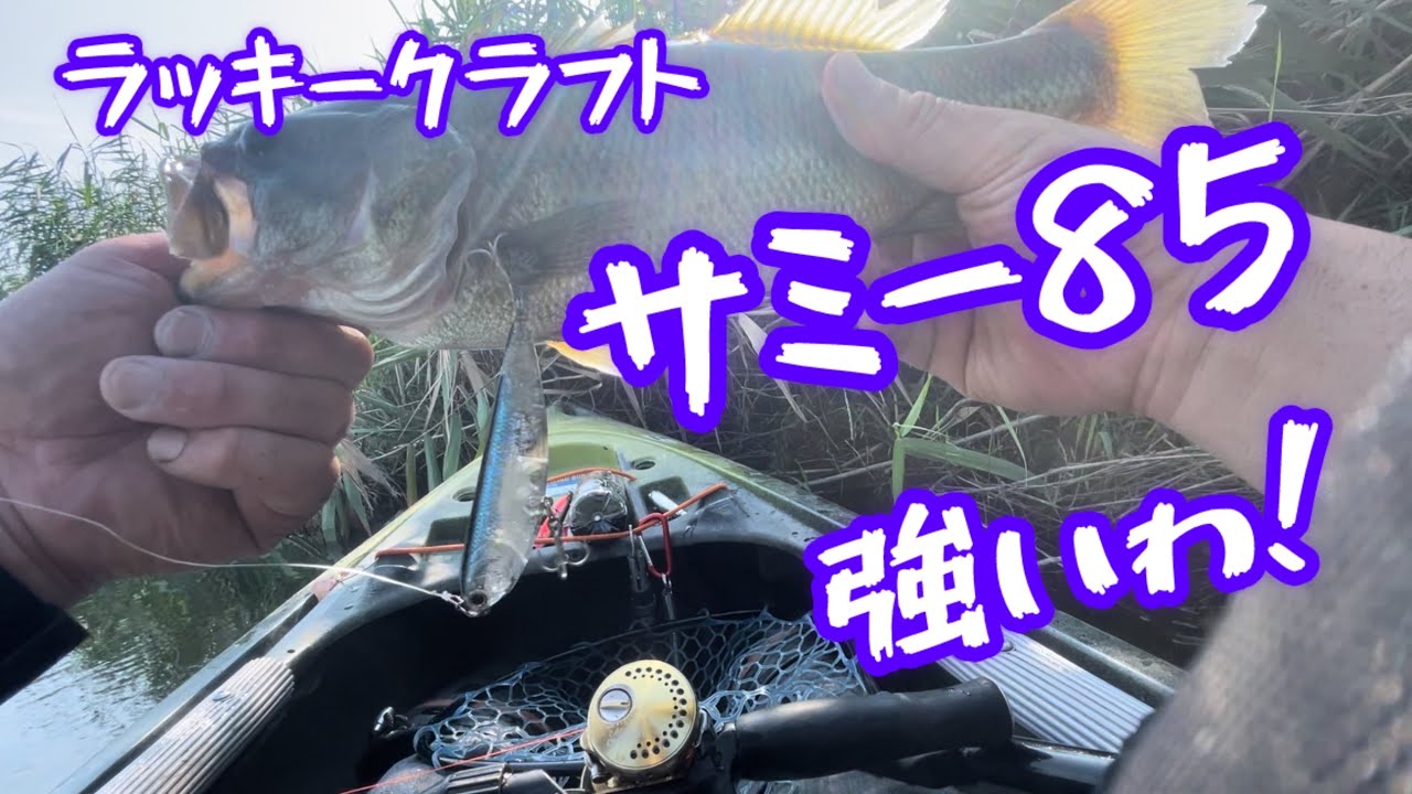 #トップウォーター #カヤックフィッシング#bassfishing #小貝川バス釣り#fishing #ラッキークラフト