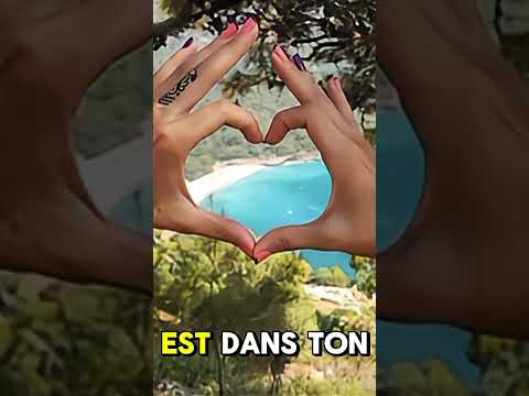 ce que les