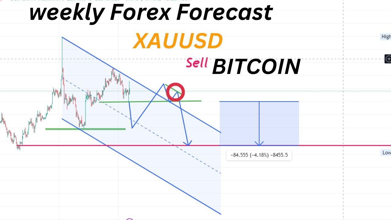 Forex Trading Weekly Analysis In Bangla | Forex Weekly Analysis ...