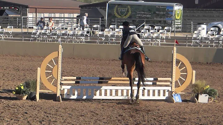 Elle's Jumping Competition