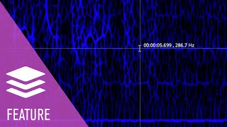 Famous Cursor Crosshair and Coordinates | New Features in SpectraLayers 9 Net Worth