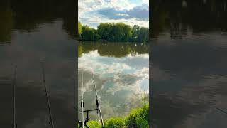 Relaxing #fishing #claumarpescar #pescuitlacrap #carphunter #carpfishing #fishinglife