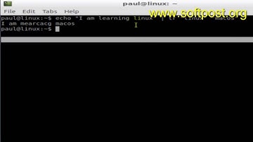 Difference between sed and tr command in Linux