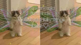 •Get your fairy wings faster• listen after fairy subliminal•fairy wings booster• subliminal•