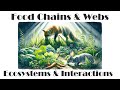 Ecosystem Dynamics Through Food Chains and Food Webs