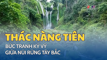 Thác Nàng tiên - bức tranh kỳ vỹ giữa núi rừng Tây Bắc | THLC