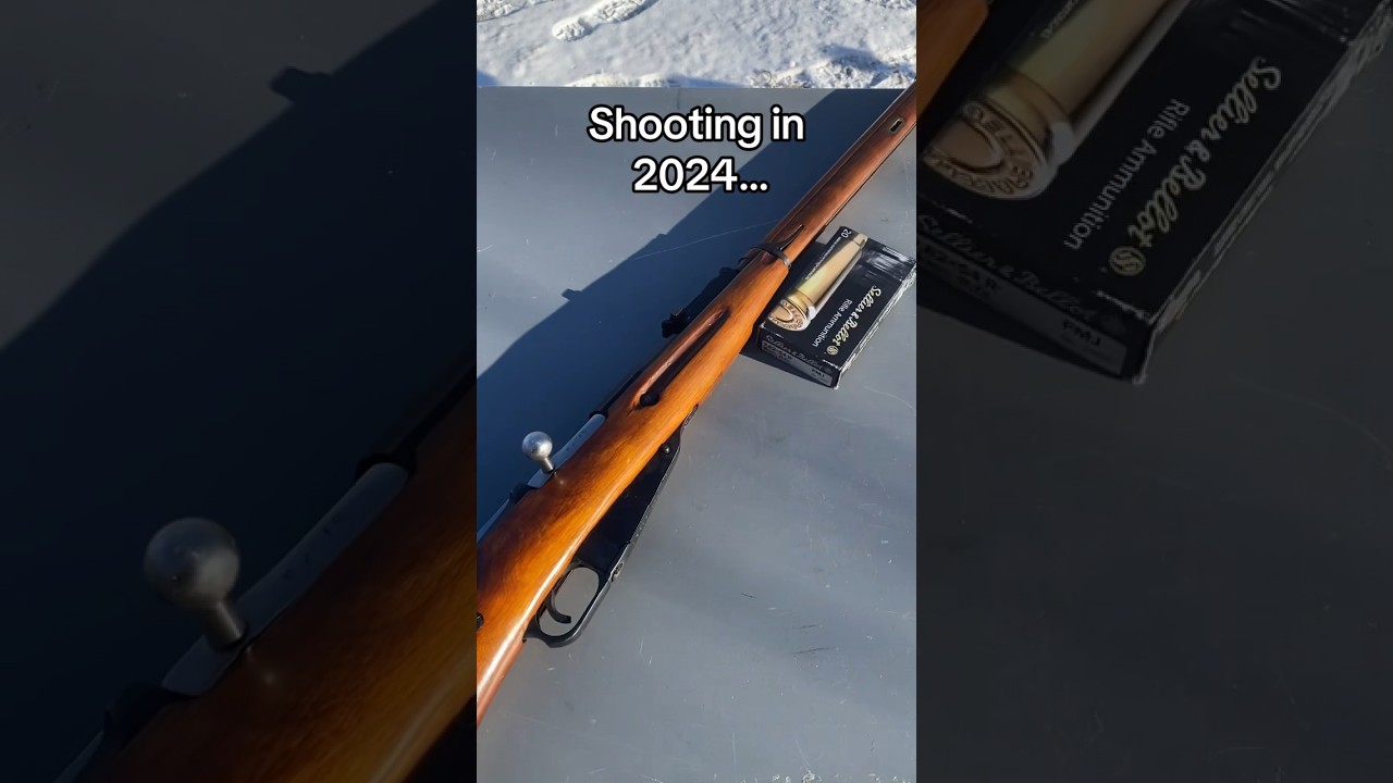 Inflation really bad right now! Mosin Nagant 