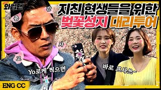 (SUB ENG) 🌸중간고사에 치인 현생들을 위한 벚꽃 대리투어🌸 반백살이 벚꽃축제를 즐기는 방법!? (feat.인생샷 꿀팁) | 와썹맨 ep.61 | god 박준형