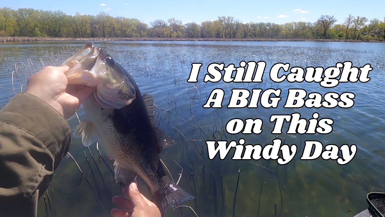 I Still Caught a Big BASS on This Windy Day | J-Hooked Fishing