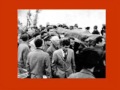 Forogh Farokhzad الشاعرة الإيرانية فروغ فرخزاد 