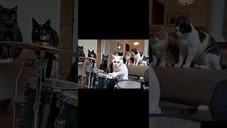 Sanırım Ders Tamam