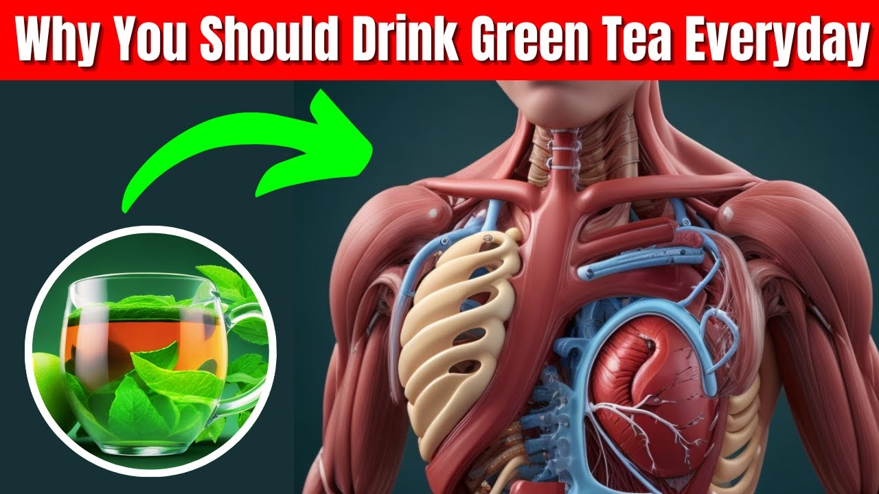 What Are The Benefits Of Drinking Green Tea Every Day? YouTube
