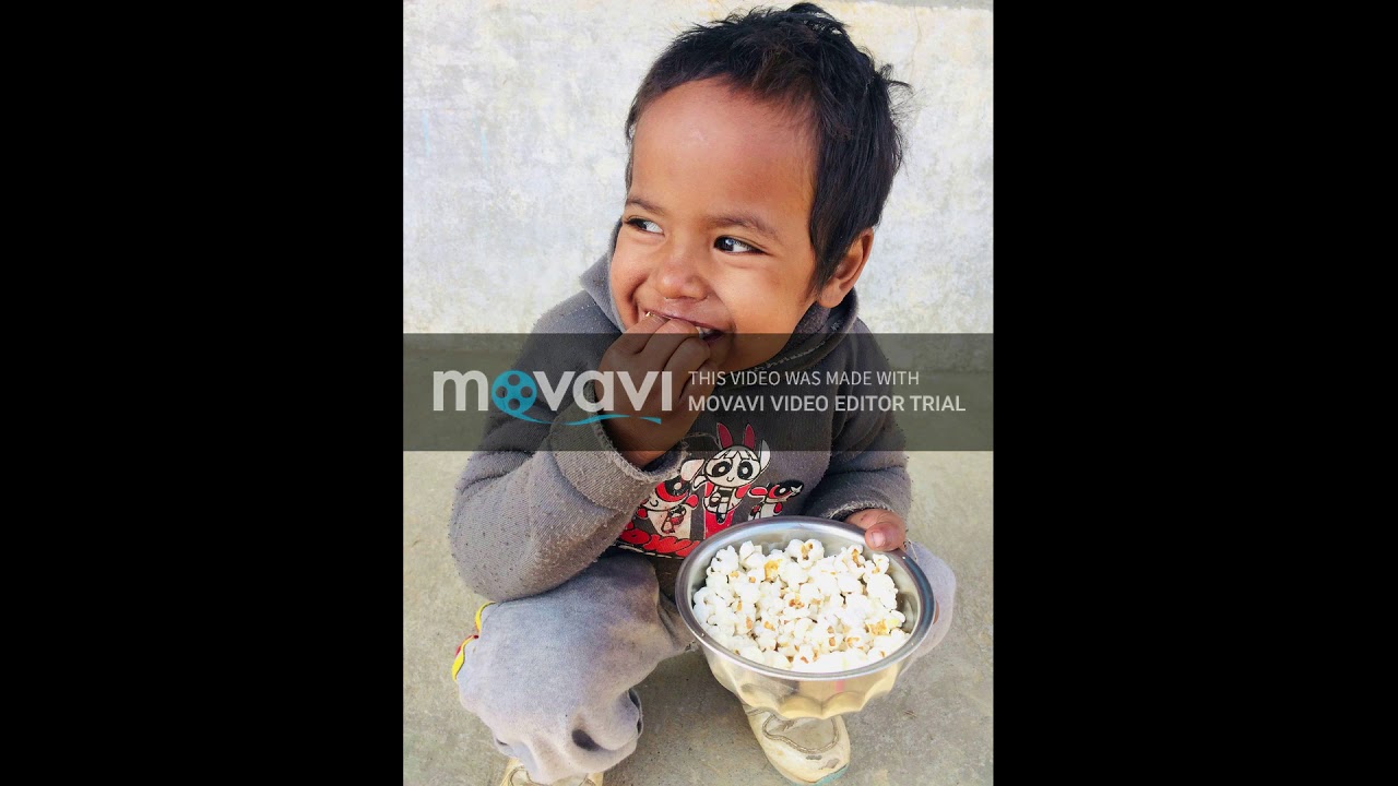 Junk food Song YouTube