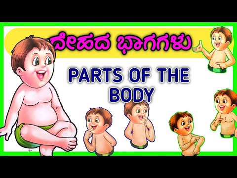 parts of the body in Kannada l ಶರೀರದ ಭಾಗಗಳು | Parts of the body |body parts in Kannada |ಶರೀರದ ಅಂಗಾಂಗ