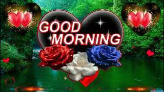 GOOD MORNING video | new romantic good morning whatsapp status screenshot 5