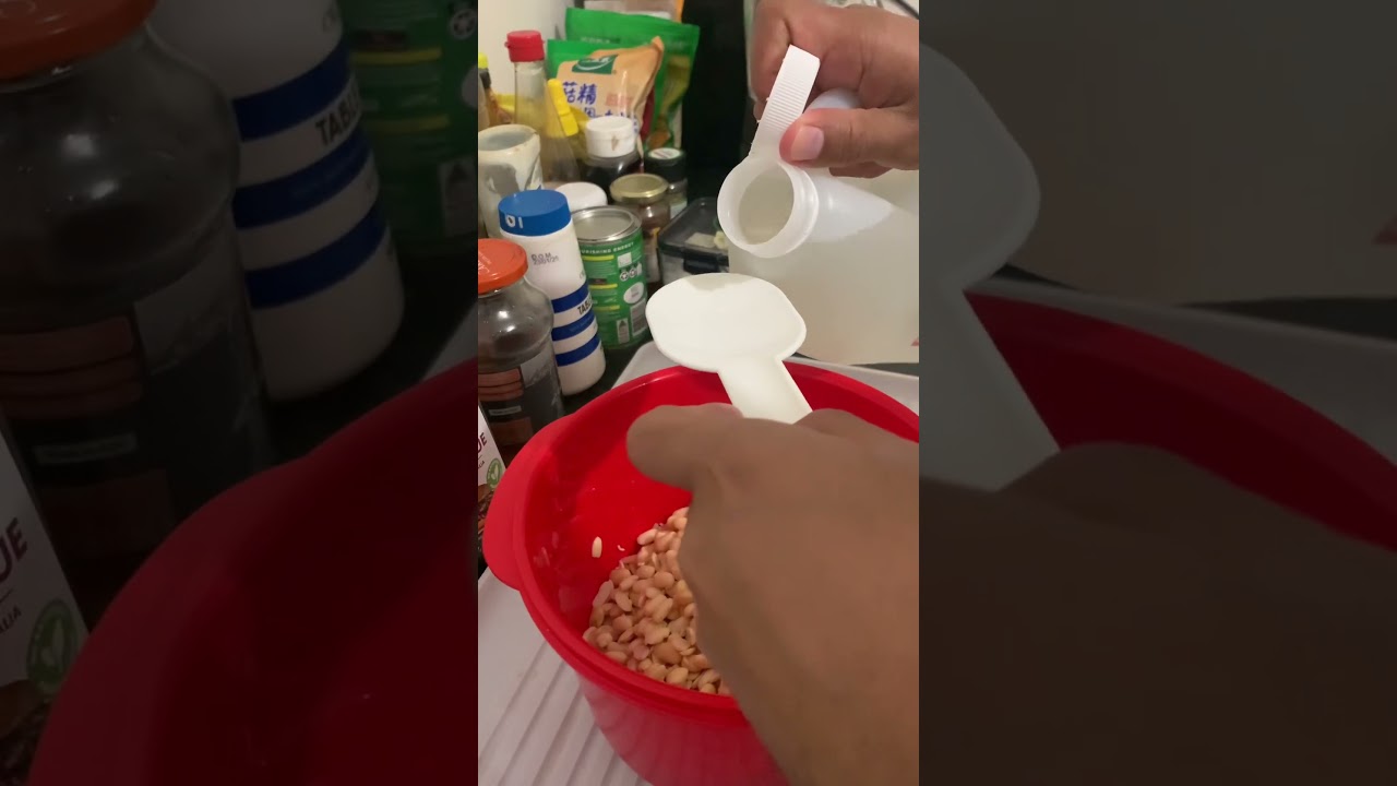 How to make Tempe, an Indonesian traditional food. This is high protein source from plants.