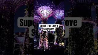 Singapore Super Tree Grove | Gardens By The Bay youtubeshort ytshorts shorts shortvideo feeds