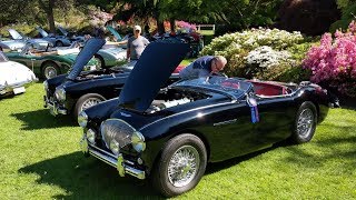 Our Austin-Healey 100-4 Wins the VanDusen ABFM