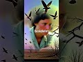 The Island Where Birds Forgot How to Fly 🕊️ | Nature’s Most Mysterious Evolution