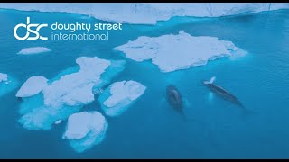 Rapid response webinar on historic ICJ advisory opinion on climate change