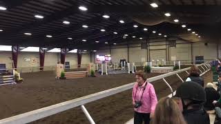 Cleo MHC Equitation Finals 2018 SOLD