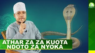 LIVE: ATHAR ZA KUOTA NDOTO ZA NYOKA | NDOTO ZETU