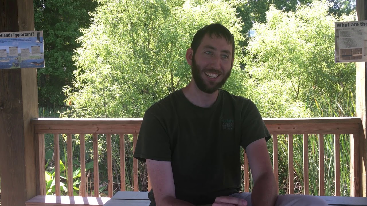 Virtual Lunch and Learn, Bird Brains