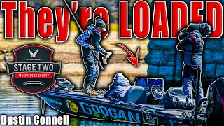 I Found the BEST SPOT on the Lake  MLF Stage 2 Douglas Lake  Qualifying Round