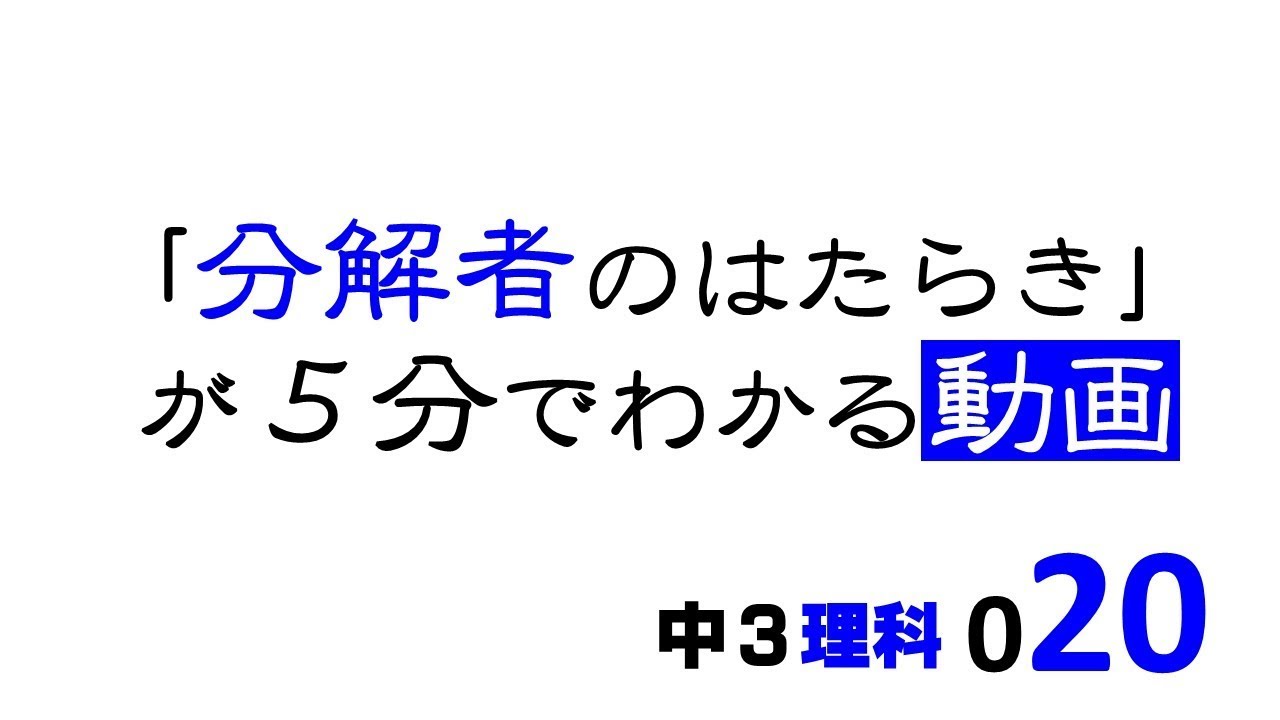 中3理科 分解者のはたらき 菌類 細菌類の仕事 Pikuu