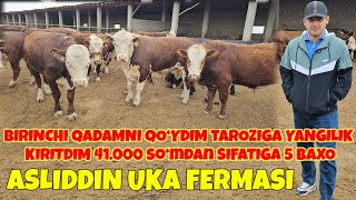 ASLIDDIN UKA GREEFORD BUQALARGA TAROZIGA 41.000 SO‘MDAN BERAMAN. OLILA BARAKA TOPILA SIFATI ZO‘R