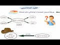 المحاسبة من الصفر القيد المحاسبى 