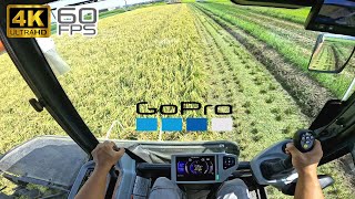 [Combine harvester] 1.6a rice harvesting [POV] 2023 Kubota DR6130