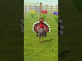 new video shots #funny #usa #usa #tractorrace