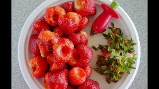 Strawberry HullerCorer set