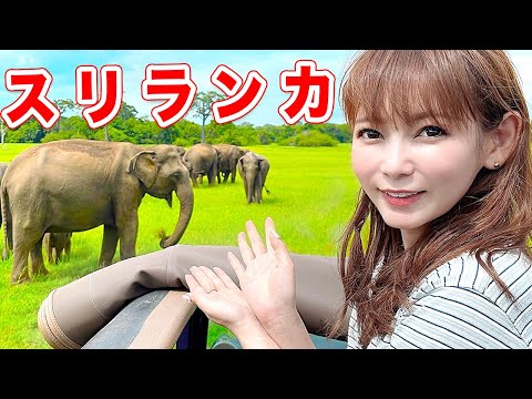 初めてのスリランカで大自然と触れ合ってきました！【海外VLOG】