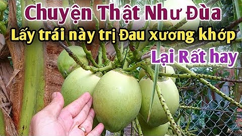 Bài thuốc trị Đau nhức xương khớp. PHAN HẢI Channel