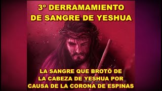 LA CORONA DE ESPINAS - 3º DERRAMAMIENTO DE LA SANGRE DE YESHÚA