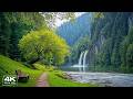 Healing Music for Inner Peace 🌿 Calm Nature Sounds for Anxiety Relief & Deep Sleep, Relaxing Music