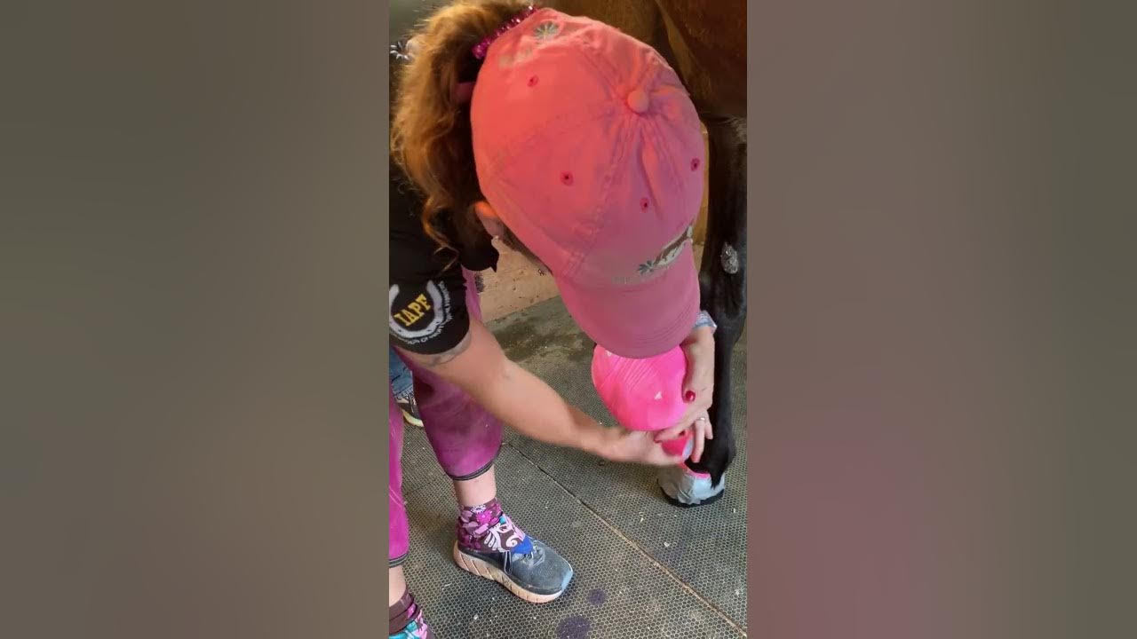 Horse Hoof Wrapping After Abscess HowTo Duct Tape Diaper YouTube