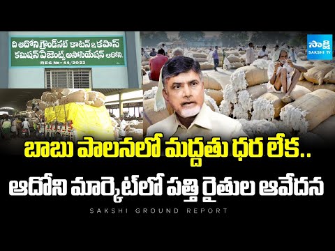 Sakshi Ground Report On Adoni Cotton Farmers Problems | SakshiTV - SAKSHITV