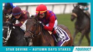 Vidéo de la course PMU AUTUMN DAYS STAKES