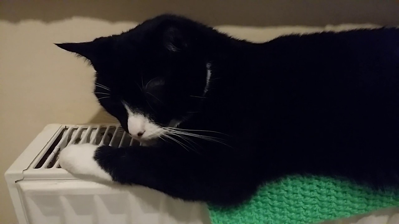 The Wicker Man (1973). Film review. 5|5. With Loki snoozing. The Wicker Man (1973). Film review. 5|5. With Loki snoozing.